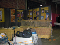 The CFA Intertional Cat Show